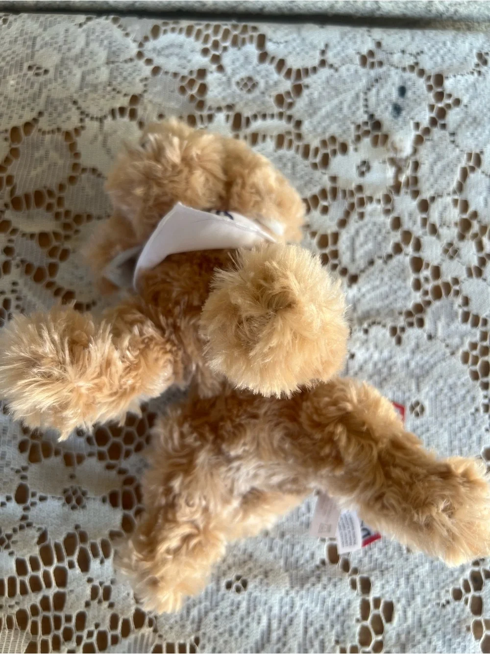 Plush Tan Poodle Dog Toy with 'Health' Bandana
